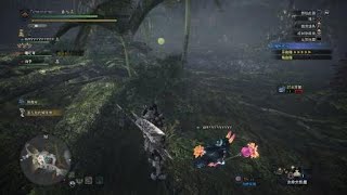 Monster Hunter World: Iceborne　　滑進陷阱　安全上壘！！