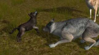 My family on wolfquest, PLEASE WATCH!!