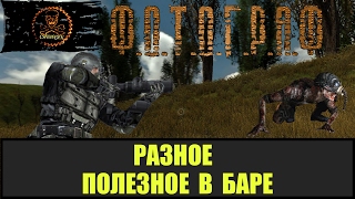 STALKER ФОТОГРАФ Бар