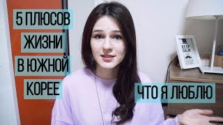 5 плюсов жизни в Южной Корее. Пять ДА Корее.