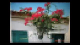 ΔΕΝ ΘΕΛΩ ΝΑ ΔΟΥΛΕΥΕΙΣ (I do not want you to work)