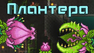 [Terraria] - Как призвать Плантеру (Plantera)