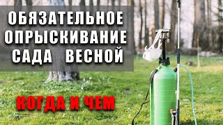 Опрыскивание по зеленому конусу на страже вашего урожая. Чем и когда делать.