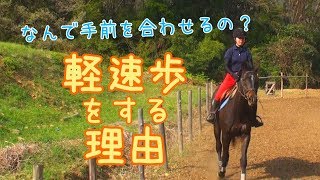 軽速歩をする理由とは？～なぜ手前を合わせるかを解説！～