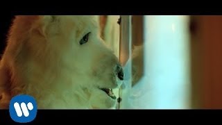 Vance Joy - "Mess is Mine" [Official Video]