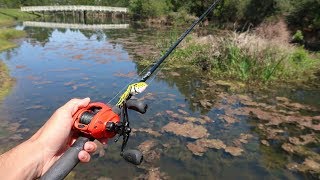$1 WALMART FROG gets CRUSHED (HUGE Bass Fishing)