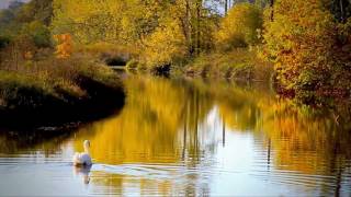 Awe Of Autumn (HD)