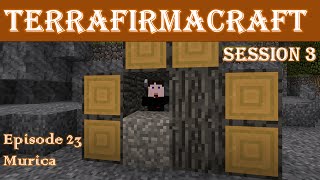 Lets Play - TerraFirmaCraft - Session 3 - 23 - Murica