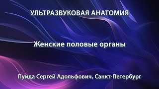 Пуйда С.А. - Ультразвуковая анатомия женских половых органов