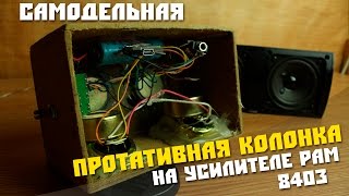 Рукожоп мастер. Самодельная портативная колонка, на цифровом усилителе.