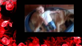 САМОЕ СМЕШНОЕ ВИДЕО!  Маленькие Дети И Собаки!