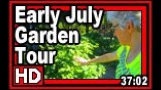 Early July Garden Tour - Wisconsin Garden Video Blog 838