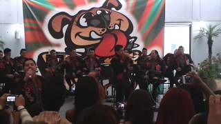 *Lo que Soñe* acustico Banda Pequeños Musical