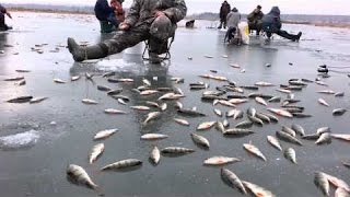 Бешеный клёв! Зимняя рыбалка в морозное утро на мелкой речке,выбрались на рыбалку