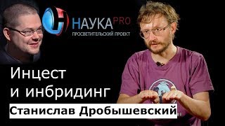 Ежи Сармат смотрит "Инцест и инбридинг" (Станислав Дробышевский)