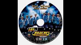 miraron llorar a este hombre los huaches de tierra caliente cd vip en vivo