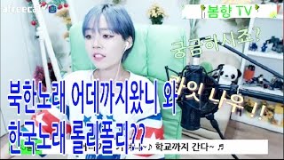 탈북녀 손봄향 한국노래와 비슷한 북한노래