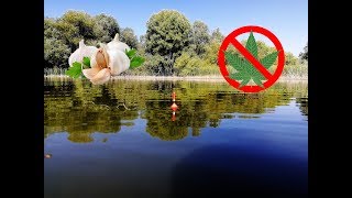 Рыбалка на карася ВОТ ЭТО ПРИКОРМКА РЕАЛЬНО РАБОТАЕТ НА КАРАСЯ И КАРПА