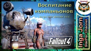 Fallout 4 ВОСПИТАНИЕ НАПАРНИКА переносимый вес