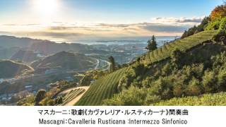 気持ちが落ち着くクラシック名曲集・Feel Calm Classical Music Collection（長時間作業用BGM)