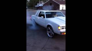 Stroked regal