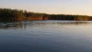 Fishing.  Lake Balkhash. Kazakhstan. Рыбалка на Балхаше, Казахстан