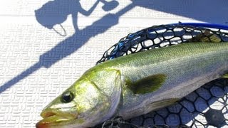 BGF2012／フィッシングボートはトーハツ！