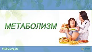 МЕТАБОЛИЗМ (Обмен Веществ)