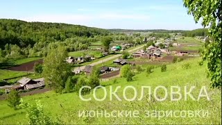 Соколовка - июньские зарисовки