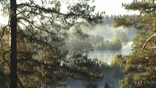 Владимир.Антонов. sattva-of-mists-ru
