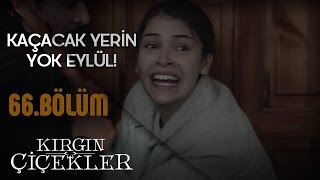 Kırgın Çiçekler 66. Bölüm - Eylül, Kemal’den kurtulabilecek mi?
