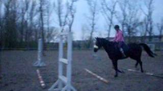 Galopem przed drągi.. Lord ;*