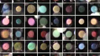 18. Kule ORBS na fotografiach - Archiwum Roberta Bernatowicza