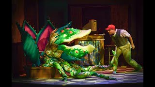Da-Doo! - Brian Michael Hoffman (Little Shop of Horrors)