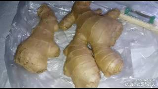 Маринуем сами Имбирь. Ingwer selbst marinieren .