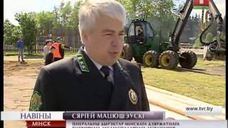 В Червене прошли областные соревнования «Лесоруб-2014»