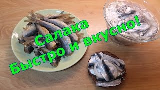 Лучшие рецепты для салаки