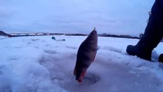 Рыбалка по первому льду .Рыбалка на Оке в Нижнем Новгороде .