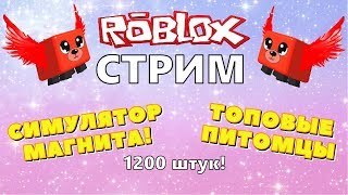 СТРИМ РОБЛОКС РАЗДАЧА КРУТЫХ ПЕТОВ СИМУЛЯТОР МАГНИТА! Запись стрима