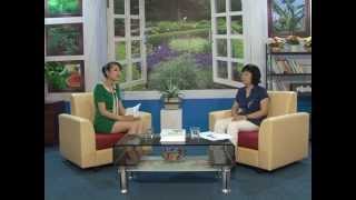 Cây thuốc Việt số 1 - cây ngải cứu