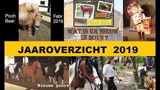 JAAROVERZICHT van 2019 ♥ Ponyparkcity - wat gebeurde er ook al weer dit seizoen?!