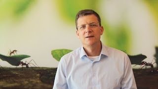 Intro to our strategy by Rob Shuter, CEO Vodafone NL