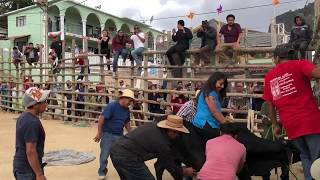 LJXILL: Carnaval 2018 - Caroline Robles Montando Torito en San Francisco Cajonos, Oaxaca, Mexico