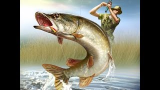 Окунь наш! Воблер НОВИНКА PONTOON 21