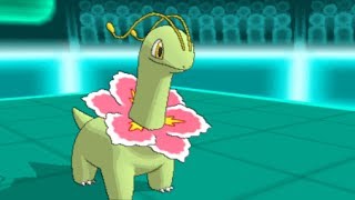 Pokemon X and Y WiFi Battle #49: Meganium The Sand Tank