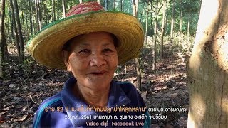 "อายุ 82 ปี แบ่งพื้นที่ทํากินปลูกป่าให้ลูกหลาน" ยายเปย อารมณ์สุข