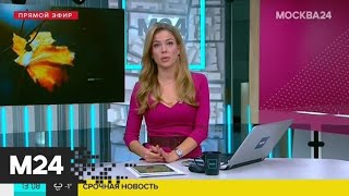 СК требует арестовать четверых сотрудников полиции Ступина - Москва 24