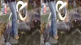 test kamery 3d DVX5F9