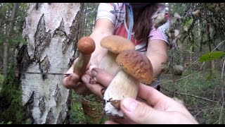 За Белыми Грибами 2016