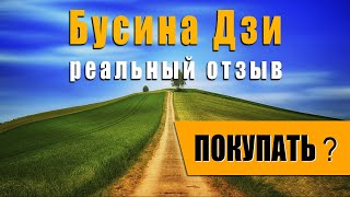 Бусина Дзи из Тибета. (9 глаз) Реальный отзыв. Покупать или нет?